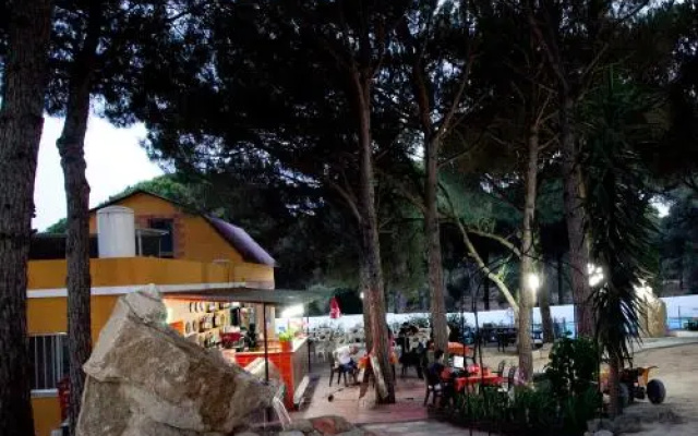 Camping Vejer