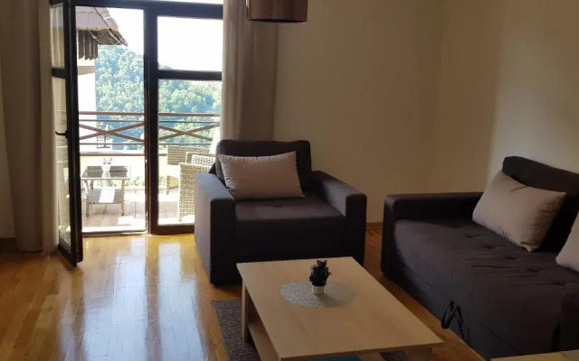 Apartment C2 Dvori