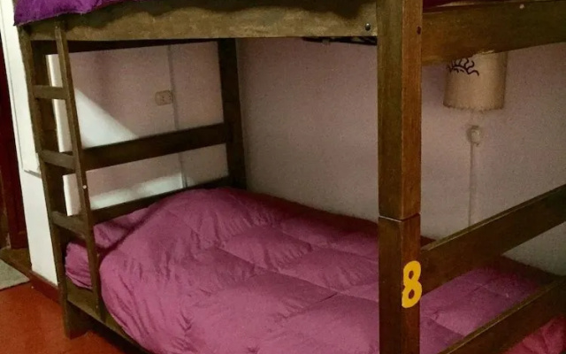 VIP House Hostel