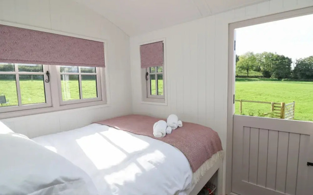 Dragonfly Shepherd's Hut