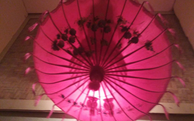 Shwe Pauk Pin Inn