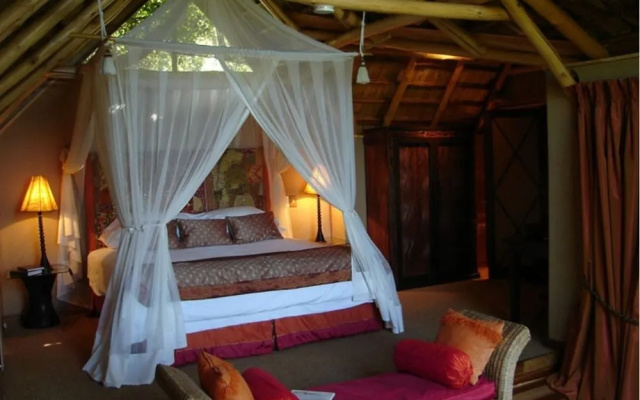 Phantom Forest Eco Reserve