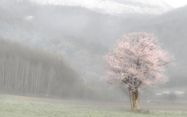 Rising Sun Furano