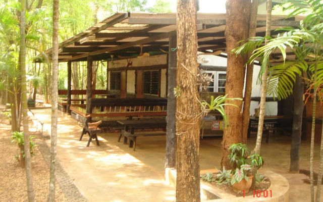 Sam's Jungle Guesthouse