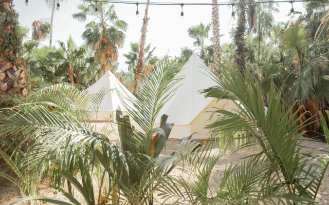 Cien Palmas Tent 1