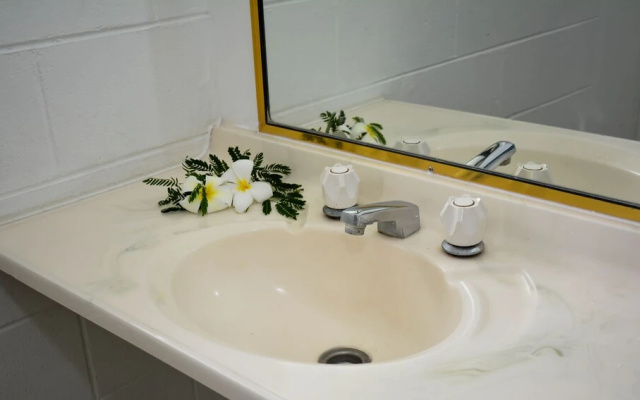 Base Backpackers Airlie Beach Resort