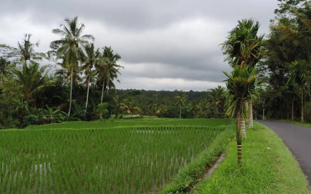 Geriya Homestay