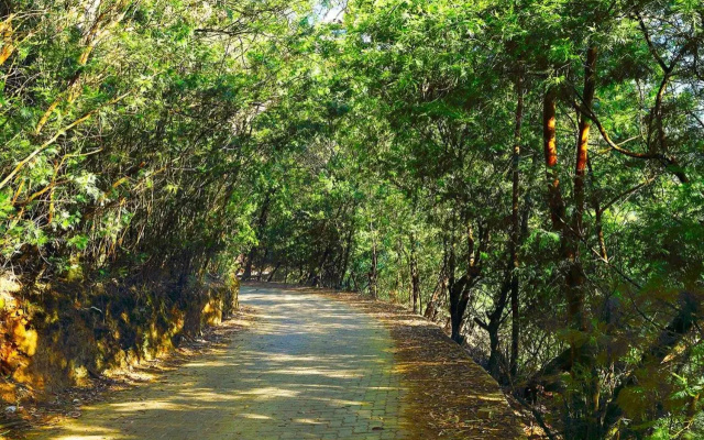 Logan Camp Ooty