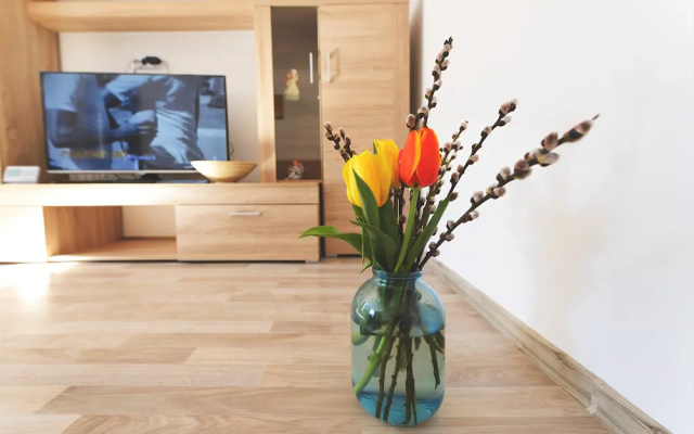 Rent for Comfort Apartments Brasov