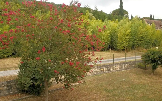 les noyers