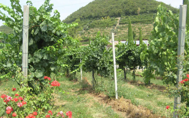 Spacious Apartment in Monticelli Brusati with Pool