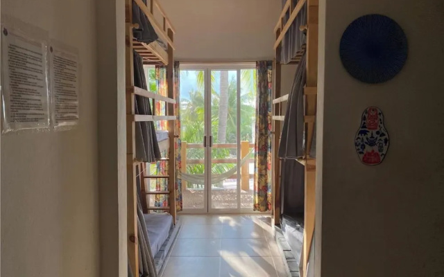 La Palmera Hostel