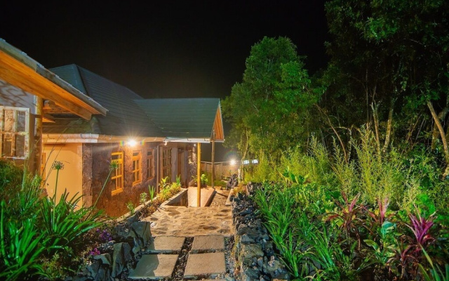 Gorilla Leisure Lodge