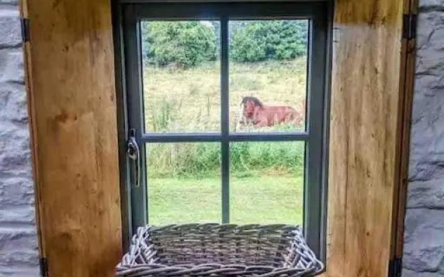 Hopesgate Cottage - Roscrea