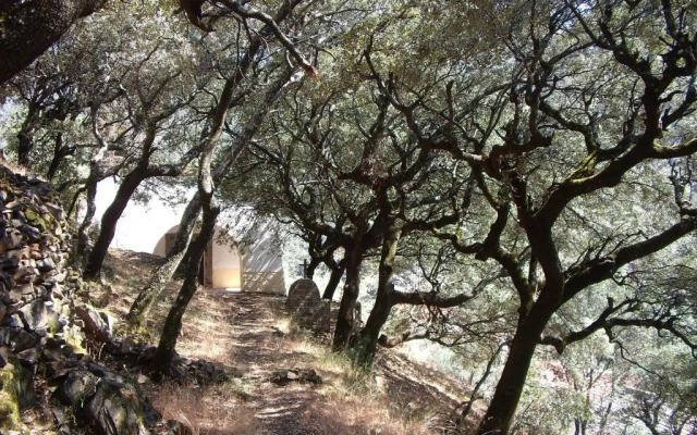 Las Casitas del Bodegon