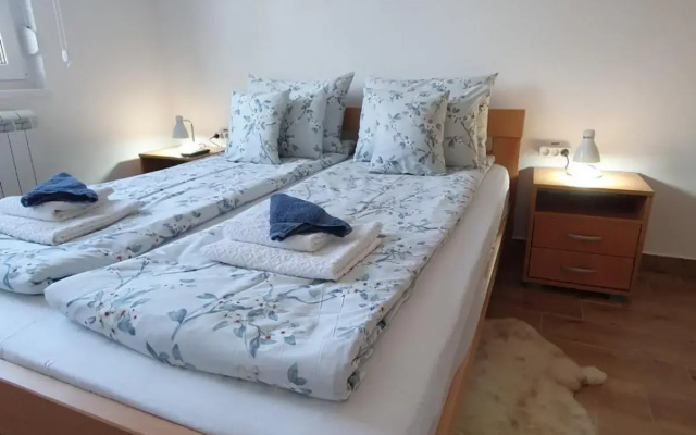 Apartment No 11