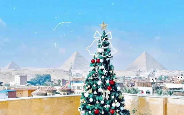 Palm Pyramids