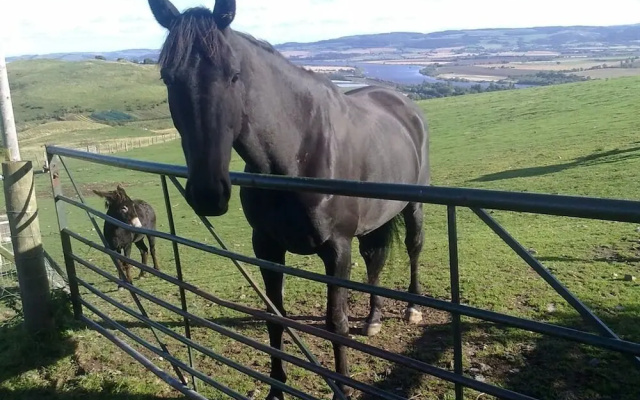 Northlees Farm