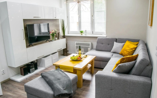 Apartment in downtown