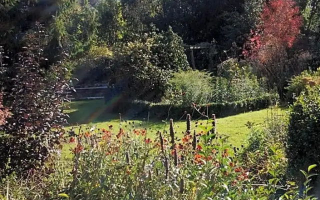 B&B Meerland