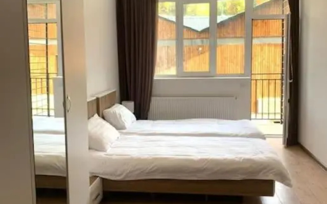 Cozy Bakuriani tribu 111