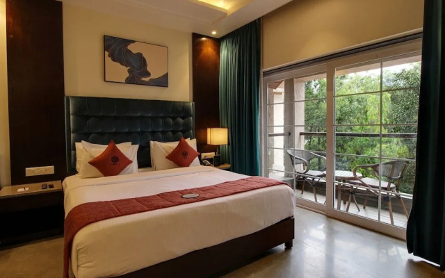 Basilica Rediscover Serenity