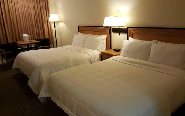 Japan House Suites