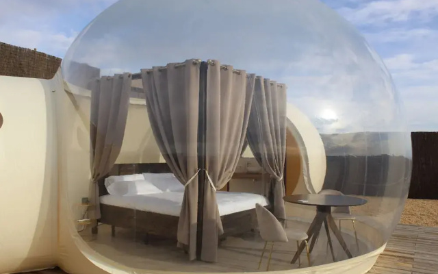Wine Bubble