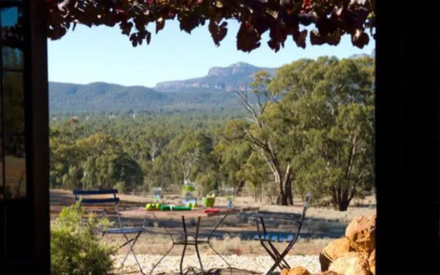 Kangaroos In The Top Paddock