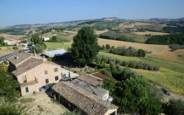 Il Vecchio Pioppo