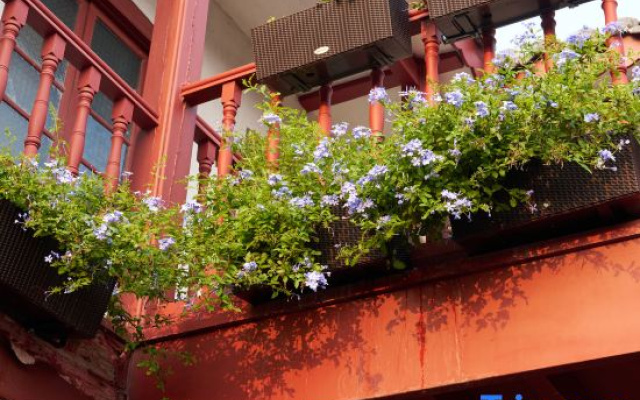 Two Holly Trees Coastal Courtyard Homestay (Yantai Mountain Scenic Area)