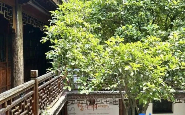 Chengxi Art Homestay