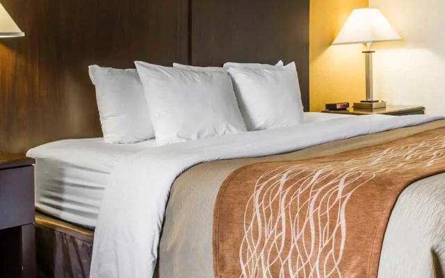Comfort Inn Jonesville