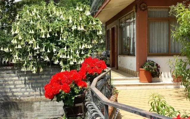 Etna Sweet Home