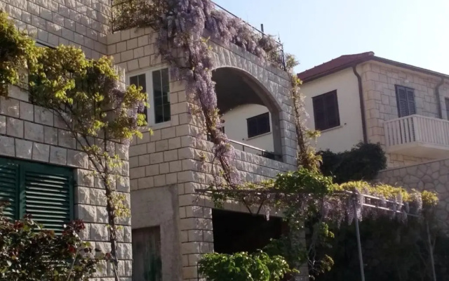 Apartments Miljana - 40m from beach