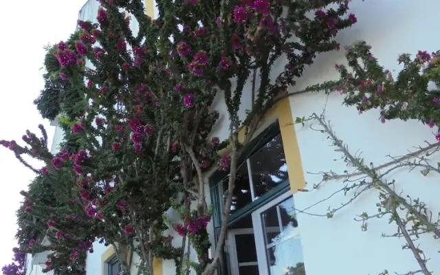 Casa Covao da Abitureira