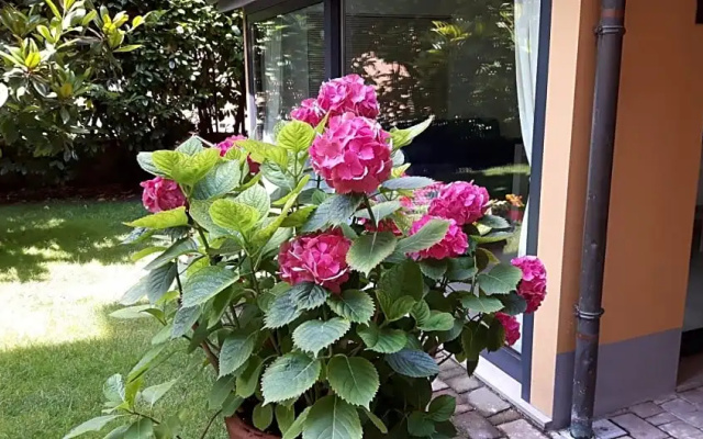 La Magnolia B&B