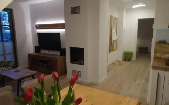 Rosenberg 13 Wohnung 1d DG re