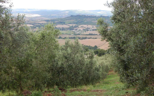 Piane Del Bagno