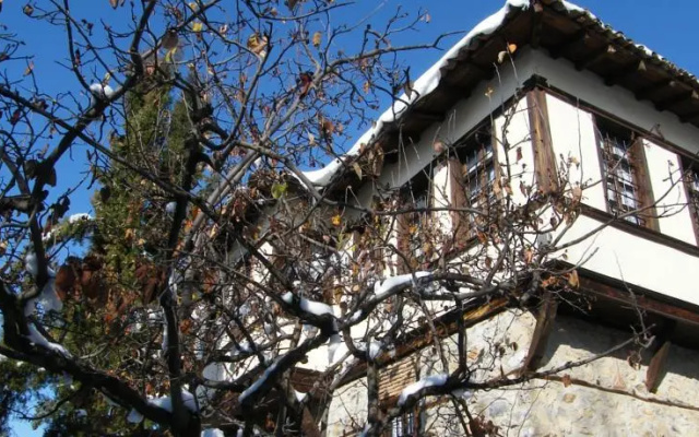 Archontiko Dintsiou