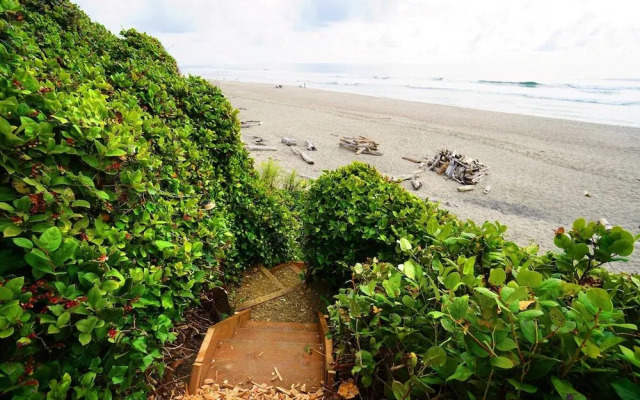 Salal Bluff