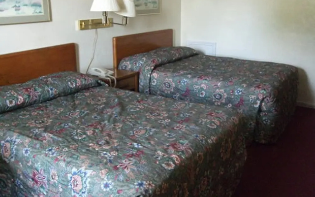 Loyalty Inn