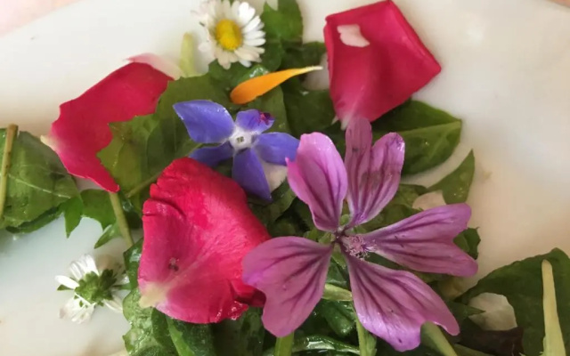 Farmhouse B&B Il Paretaio