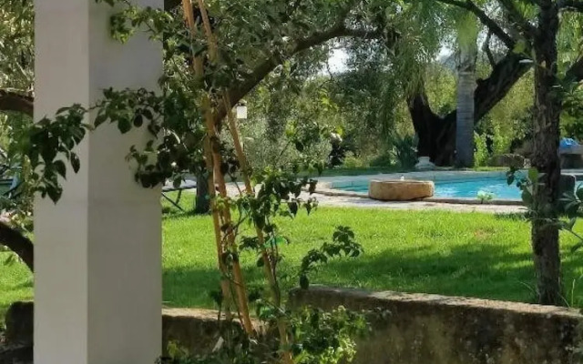The Olivestone Village - Yoga Retreat Paradise