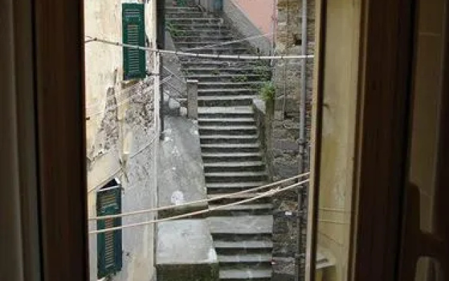 La Zorza