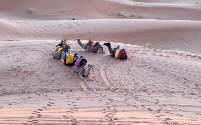 nomad luxury camp
