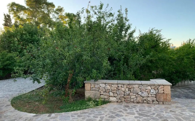 Villa Olivia