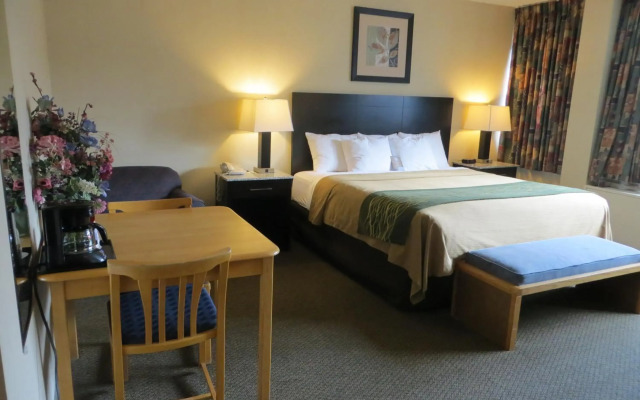 Comfort Inn & Suites Downtown Edmonton