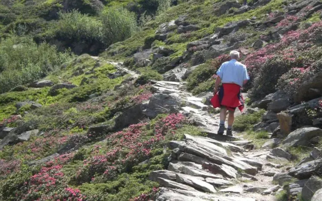 Alpen-Frühstückspension Familie Höfler