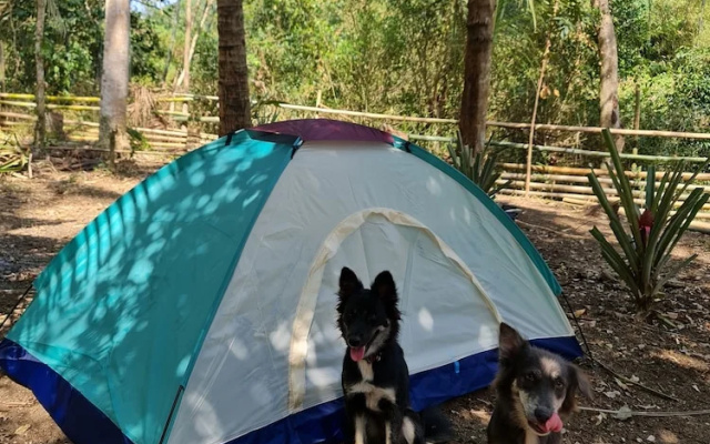 MoRue's Den